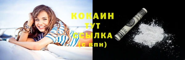 прущие грибы Белоозёрский