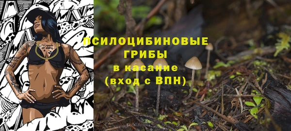 герыч Белокуриха