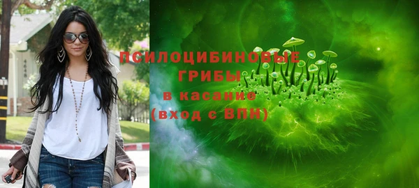прущие грибы Белоозёрский