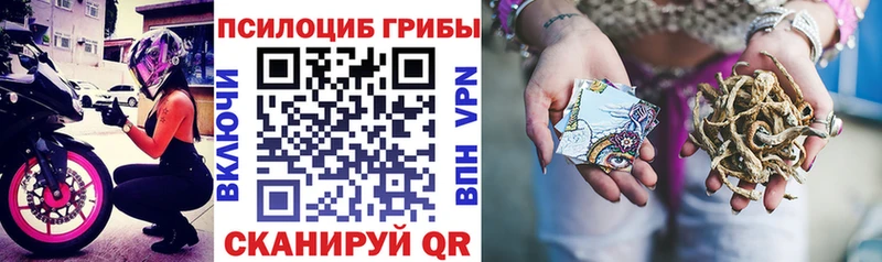 Галлюциногенные грибы ЛСД  купить наркотики цена  Болохово 